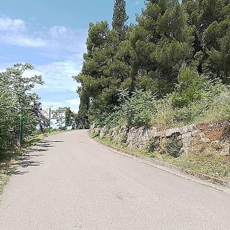 Aga Apartman Podgorica Exteriör bild