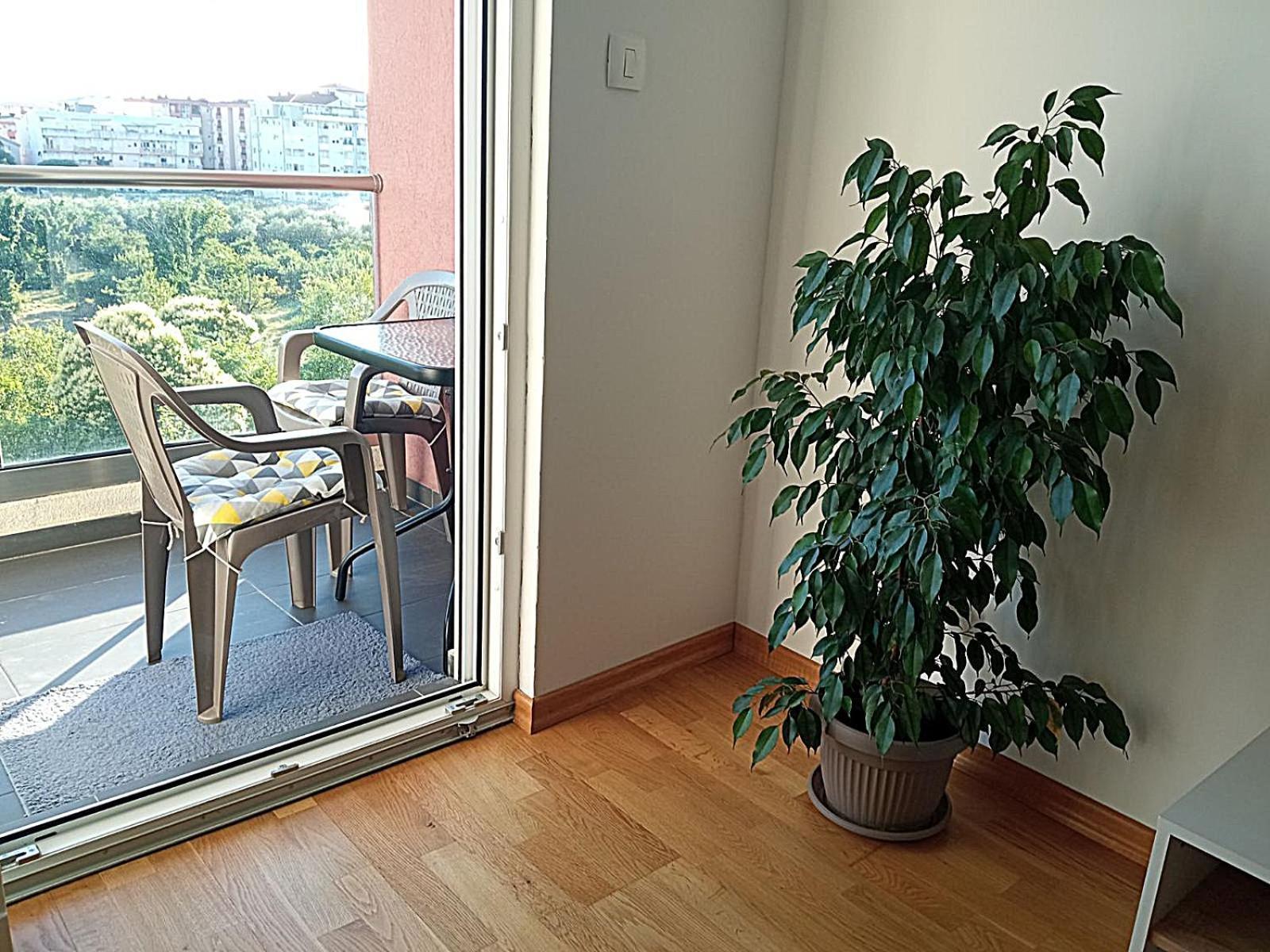 Aga Apartman Podgorica Exteriör bild